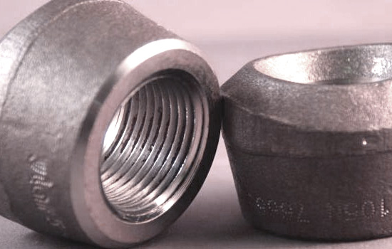 Hastelloy Alloy C22 Olets Fittings