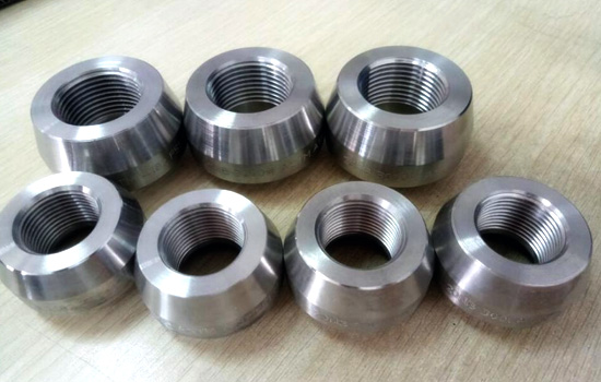 Stainless Steel 310/310S Olets Fittings